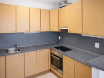 Pronájem bytu 2+kk, Kladno, Švédská, 49 m2