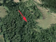 Prodej lesa, Trutnov, 4983 m2