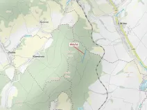 Dražba lesa, Nová Hradečná, 12014 m2