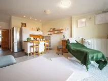 Prodej vícegeneračního domu, Brno, Otakara Ševčíka, 190 m2