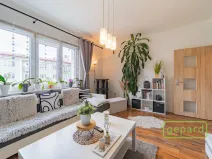 Prodej bytu 2+1, Ostrov, S. K. Neumanna, 54 m2