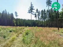 Prodej lesa, Vodice - Domamyšl, 24564 m2