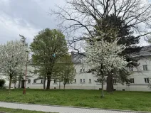 Prodej bytu 2+1, Ostrava - Hrabůvka, Jubilejní, 81 m2