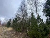 Prodej lesa, Kolinec - Buršice, 5195 m2