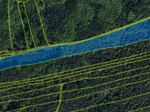 Prodej lesa, Kaňovice, 25807 m2