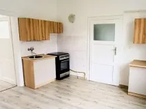 Pronájem bytu 1+1, České Budějovice, E. Beneše, 45 m2