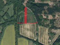 Prodej louky, Lázně Bohdaneč, 10075 m2