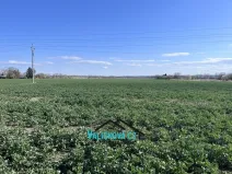 Prodej pozemku, Hulín, 61843 m2