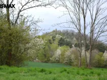 Prodej louky, Podhradí, 744 m2