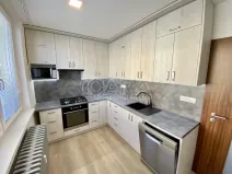 Pronájem bytu 1+1, Vyškov - Vyškov-Předměstí, 41 m2