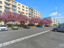 Pronájem bytu 1+1, Heřmanův Městec, V Lukách, 32 m2