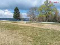 Prodej pozemku pro bydlení, Zdíkov - Masákova Lhota, 6036 m2