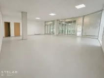 Pronájem obchodního prostoru, Hlučín, Cihelní, 113 m2