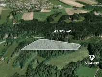 Prodej lesa, Loužnice, 41323 m2