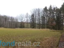 Prodej pole, Malovice, 5875 m2