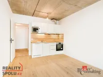 Pronájem bytu 1+kk, Brno - Zábrdovice, Bratislavská, 24 m2