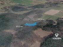 Prodej lesa, Řečice, 8501 m2