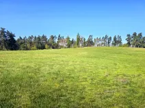 Prodej pozemku, Kojatín, 2400 m2