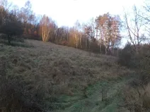 Dražba louky, Blíževedly, 2887 m2