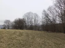 Prodej pole, Malečov - Řetouň, 939 m2