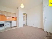 Prodej bytu 1+1, Pardubice, Arnošta z Pardubic, 42 m2