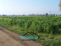 Prodej pole, Hulín, 710 m2