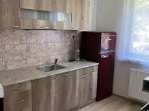 Prodej bytu 1+1, Olomouc - Nové Sady, Družební, 35 m2