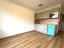 Pronájem bytu 1+kk, Dolní Bělá, 20 m2