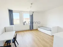 Pronájem bytu 1+kk, Praha, Perucká, 30 m2