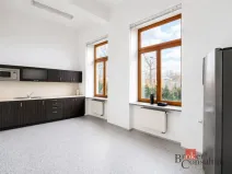 Pronájem kanceláře, Opava - Předměstí, Janská, 35 m2