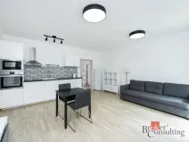 Pronájem bytu 1+kk, Praha, Olšanská, 39 m2