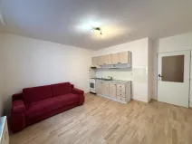 Pronájem bytu 2+kk, České Budějovice, Riegrova, 42 m2