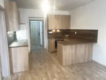 Pronájem bytu 2+kk, Plzeň - Jižní Předměstí, Vrchlického, 54 m2
