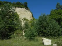 Prodej pozemku, Krhov, 2547 m2