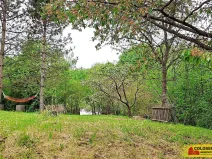 Prodej zahrady, Letovice, 1242 m2