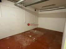 Pronájem komerční nemovitosti, Praha - Žižkov, Hartigova, 66 m2