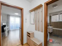 Pronájem bytu 1+kk, Heřmanova Huť - Vlkýš, U Pondu, 40 m2