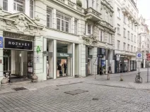 Pronájem bytu 1+kk, Brno - Brno-město, Panská, 39 m2