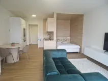 Pronájem bytu 1+kk, Ostrava - Slezská Ostrava, U Hájenky, 38 m2