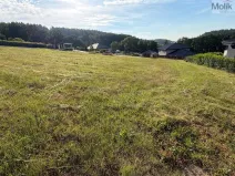 Prodej pozemku pro bydlení, Málkov - Zelená, 1024 m2