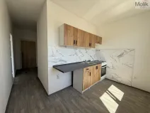 Pronájem bytu 2+1, Most, Jaroslava Vrchlického, 55 m2