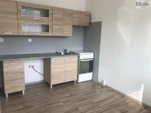 Pronájem bytu 3+1, Bílina - Pražské Předměstí, Alšova, 55 m2