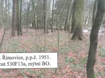 Prodej lesa, Řimovice, 522 m2