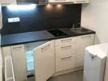 Pronájem bytu 1+kk, Brno - Sadová, Kyselkova, 30 m2