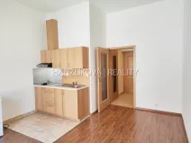 Pronájem bytu 1+kk, České Budějovice - České Budějovice 3, Riegrova, 30 m2