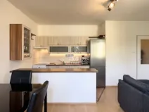 Pronájem bytu 2+kk, České Budějovice - České Budějovice 3, Riegrova, 41 m2