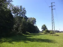 Dražba louky, Studénka, 4728 m2