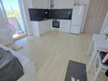 Pronájem bytu 1+kk, Olomouc - Řepčín, Aloise Rašína, 30 m2