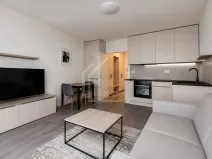 Pronájem bytu 1+kk, Praha, Pernerova, 32 m2