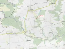Dražba lesa, Břežany, 2070 m2